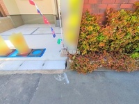 外観: