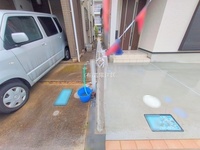 外観: