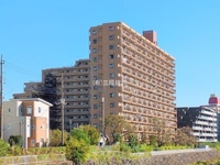 外観: