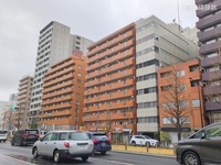 外観: