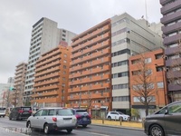 外観: