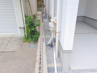 外観: