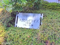 外観: