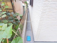外観: