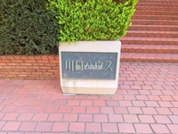 外観:
