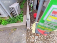 外観: