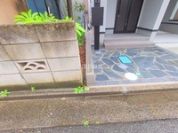 外観:
