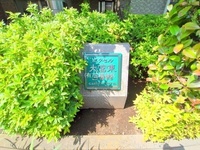 エントランス: