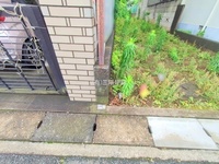 外観: