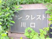外観: