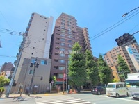 外観: