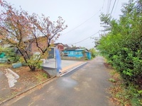 外観: