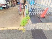 外観: