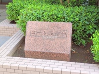 外観: