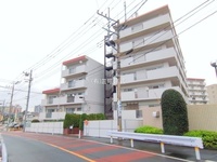 外観: