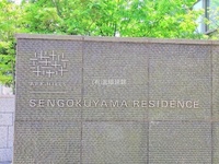 外観: