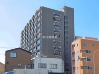外観: