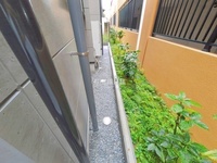外観: