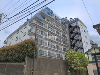 外観:
